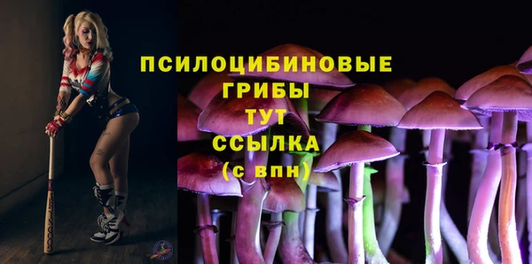 кокаин колумбия Белокуриха