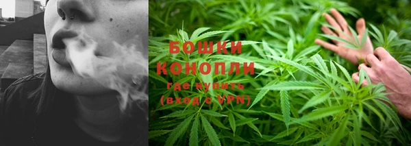 кокаин колумбия Белокуриха