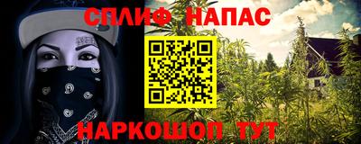 ешки Новодвинск