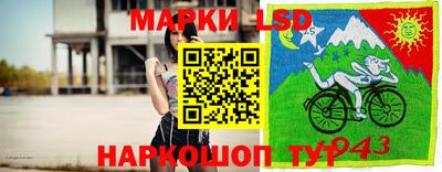 амф Новокубанск