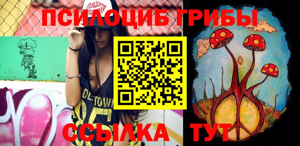 Сланцы  купить наркотик  Псилоцибиновые грибы Psilocybe  Вход с VPN  Галлюциногенные грибы Psilocybine cubensis 