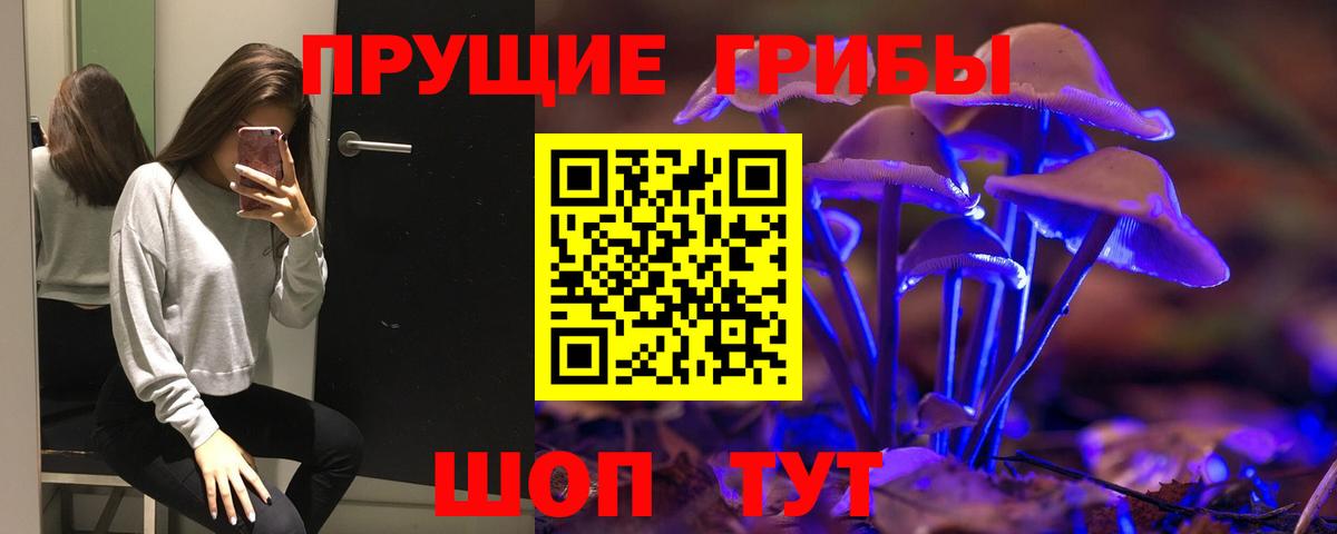 Галлюциногенные грибы ЛСД Сланцы